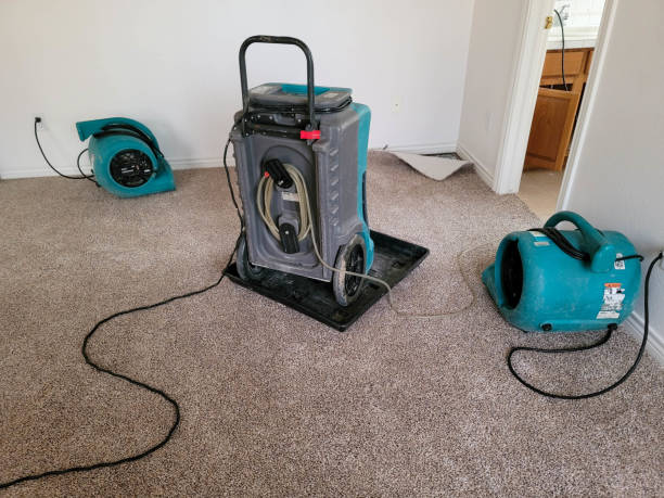 Best Fire Damage Restoration  in Chalfant, CA