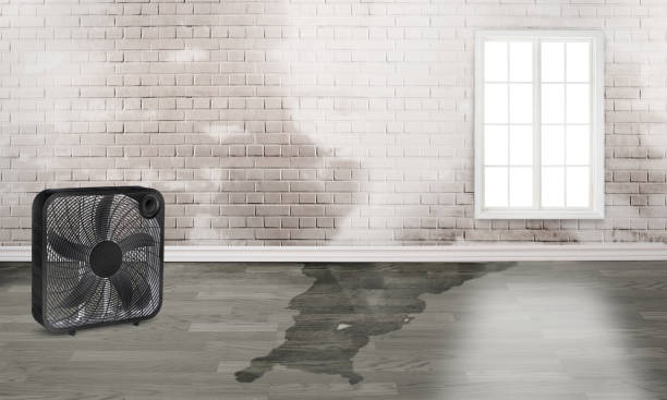 Best 24-hour water damage restoration  in Chalfant, CA