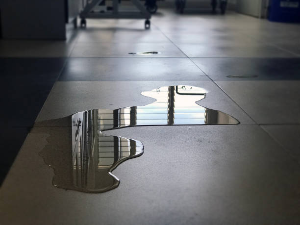 Best Water damage restoration near me  in Chalfant, CA