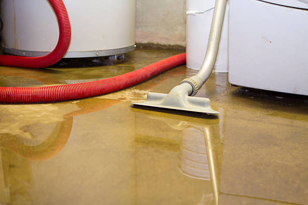 Best Emergency water damage restoration  in Chalfant, CA