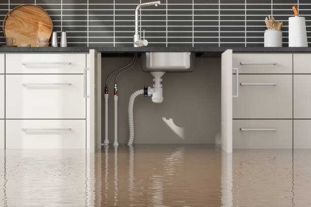 Best Sewage cleanup and water damage restoration  in Chalfant, CA